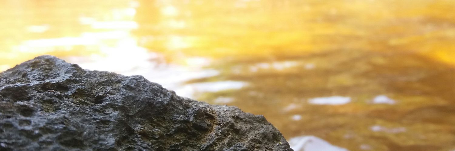 spontesvitor's profile banner image