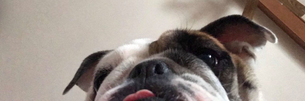 meg_kill's profile banner image