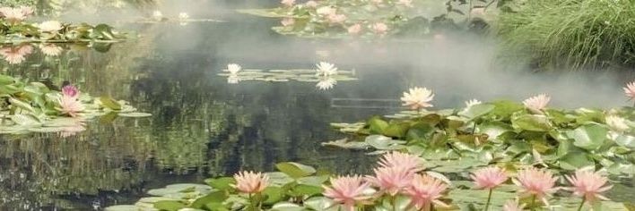 mari ࣪ ִֶָ☾. banner