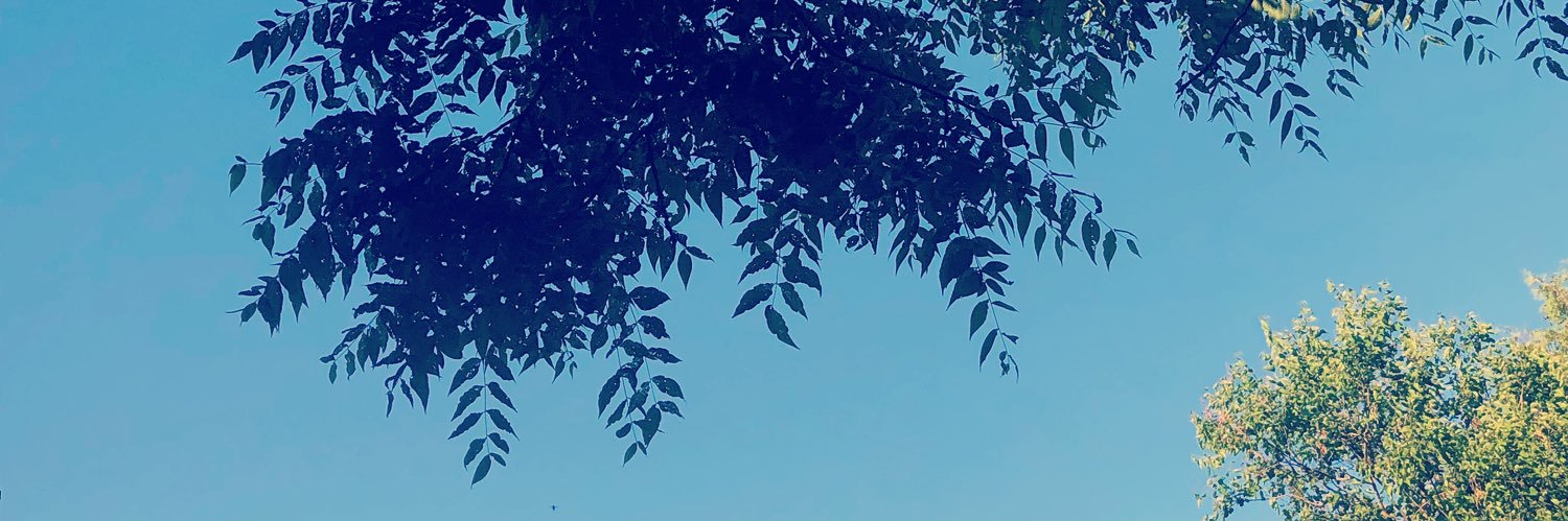 SarahMayer14's profile banner image