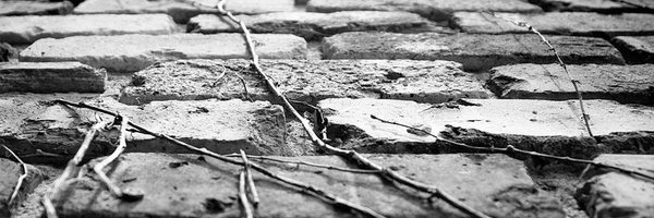 FSHMNKY Profile Banner