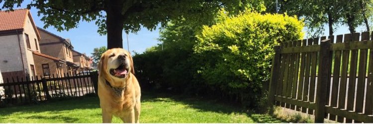 MeghanBarrett4's profile banner image