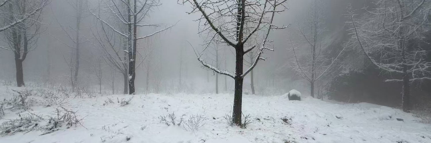 白岚.eth🐬TermMax banner