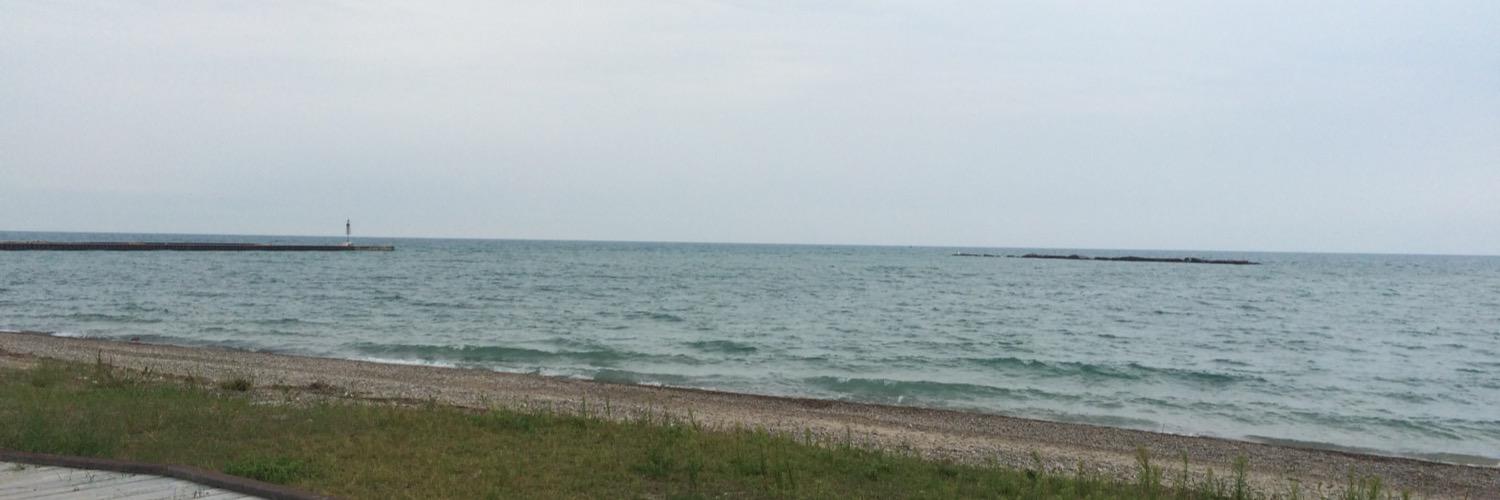 Nicole Falkowski banner