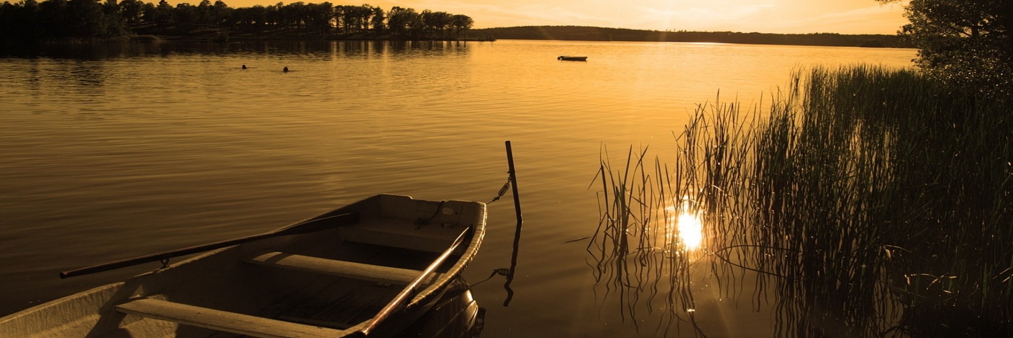 🇨🇦 Bullzy banner