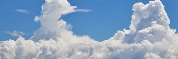 Keeshnaire Profile Banner