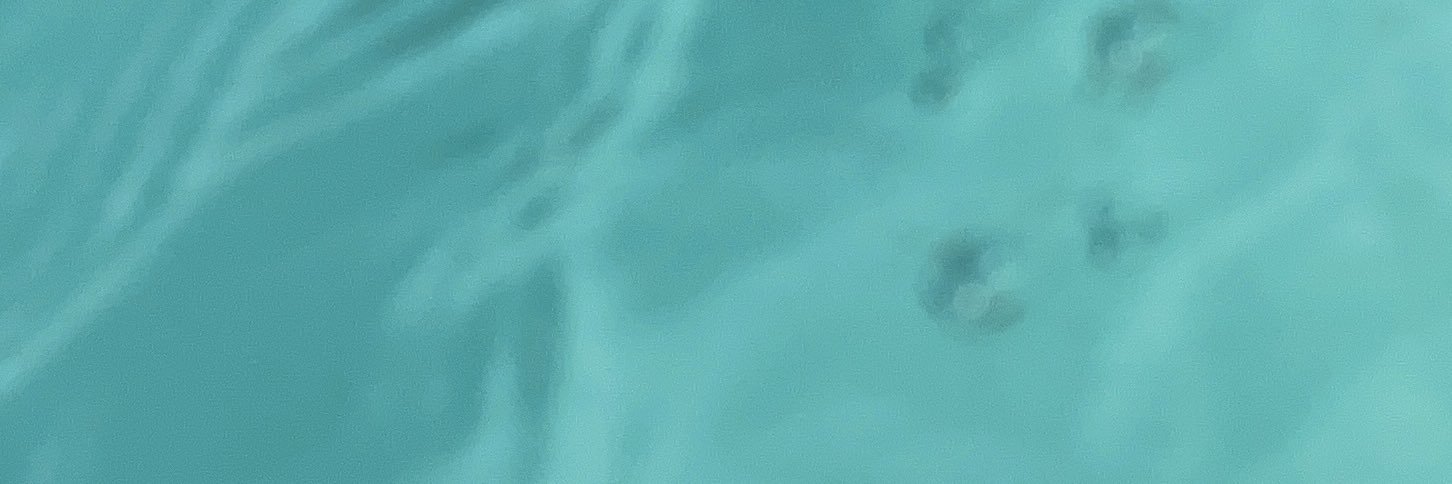 luliaazul's profile banner image