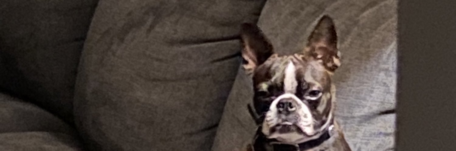 JessDLB's profile banner image