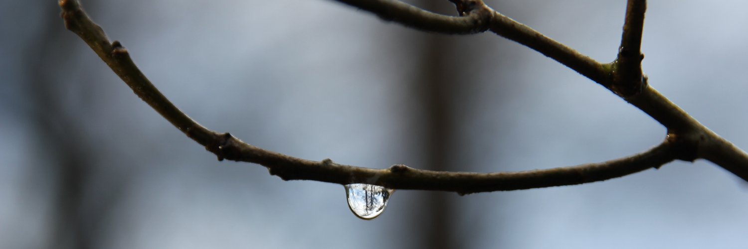 Rob Besseling banner