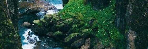 ShellaBella4's profile banner image