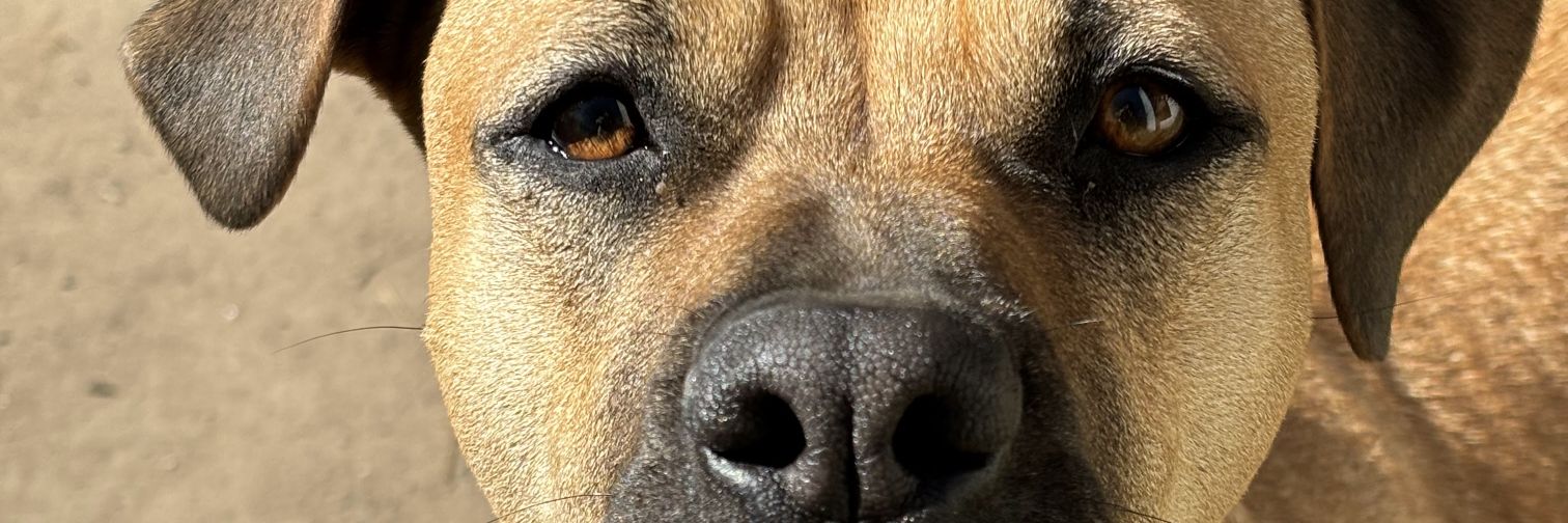 sofadubini2's profile banner image
