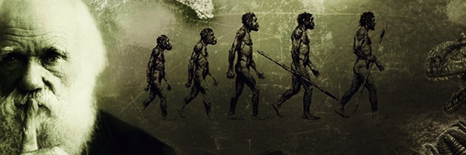 D_Prando's profile banner image