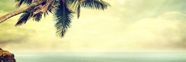 MariposaAzcar Profile Banner