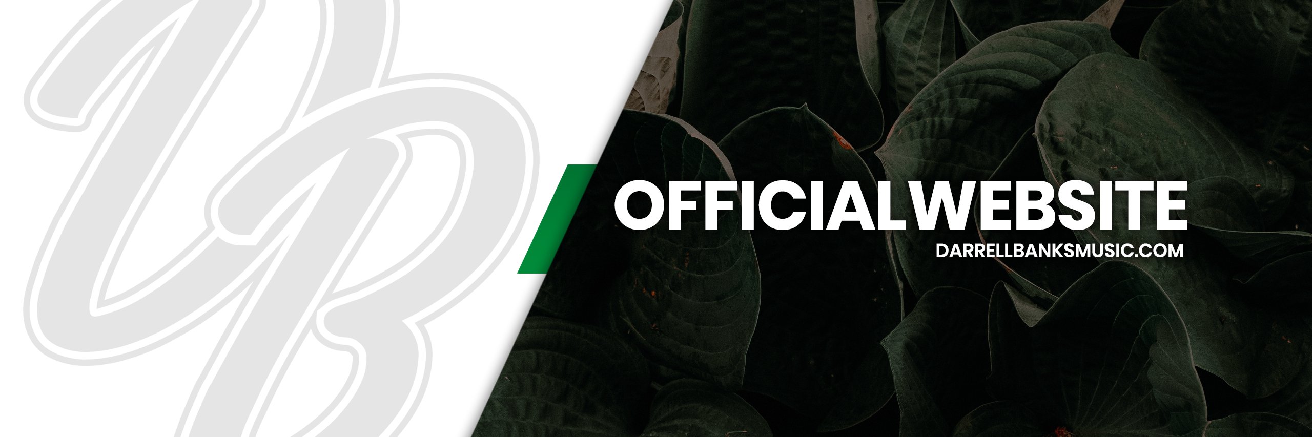 DarrellBankss's profile banner image