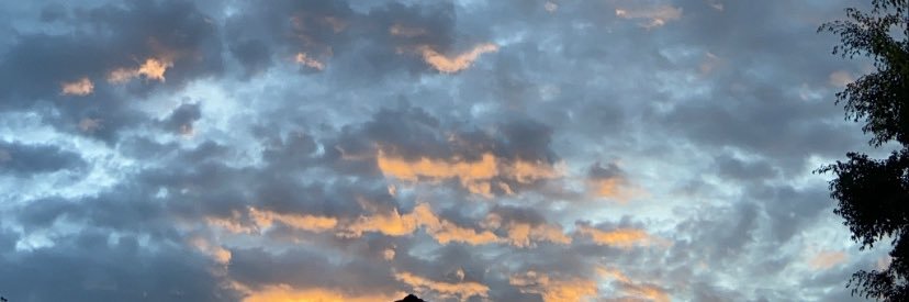 pris_macedo's profile banner image