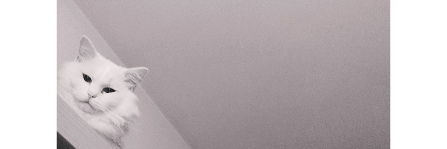 : banner