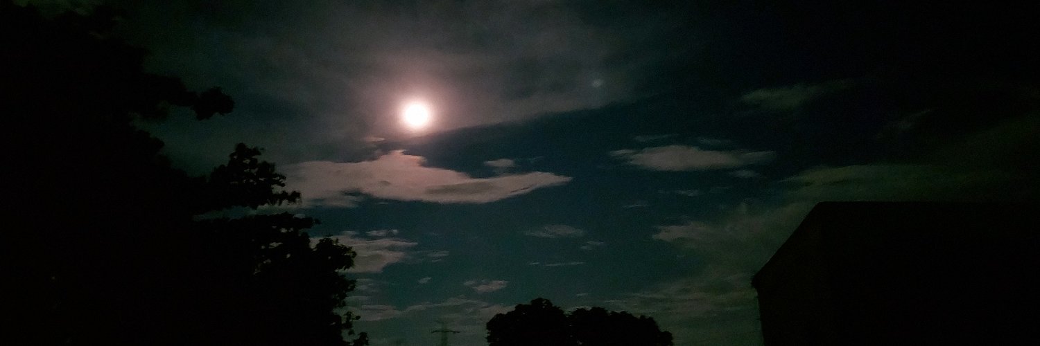 rissole_dot_xe's profile banner image