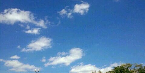 shiitake2001's profile banner image
