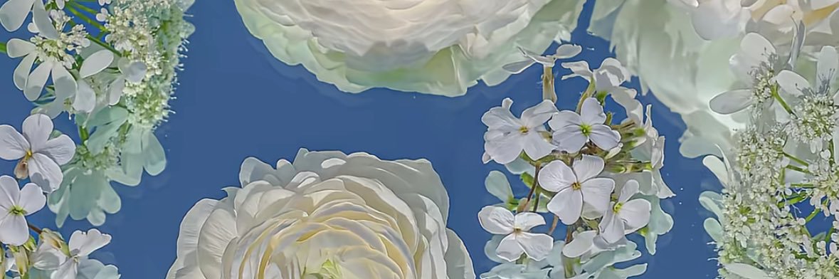 bnicholsonnn's profile banner image