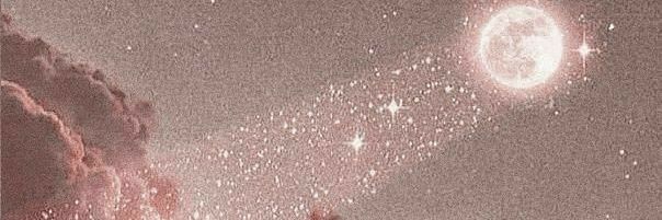 elainecordeiro's profile banner image