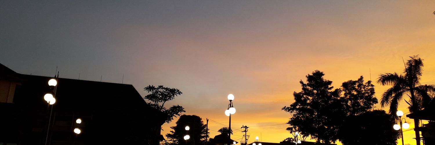 rilaniesti's profile banner image