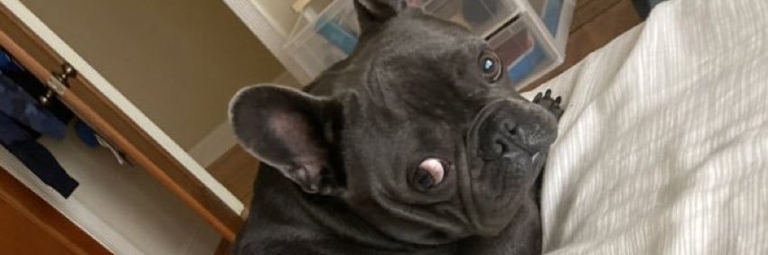 joeydotk's profile banner image
