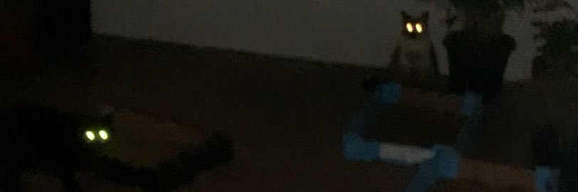 A_Resposta's profile banner image