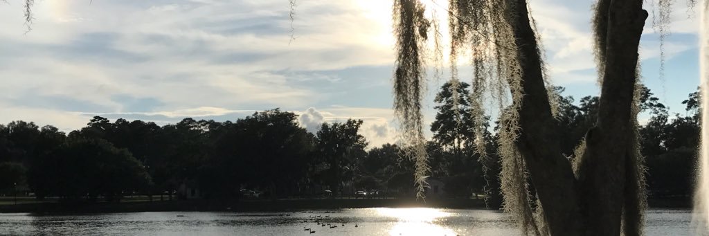 PEtotheCORE's profile banner image