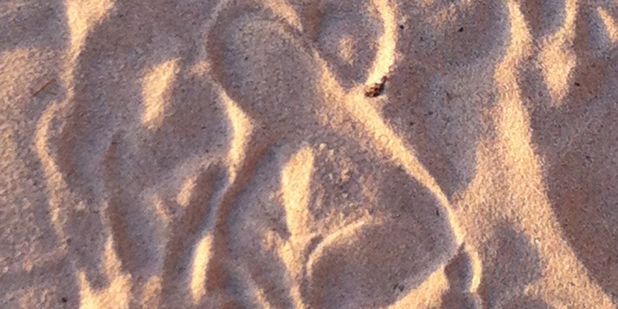 SportingMinds's profile banner image