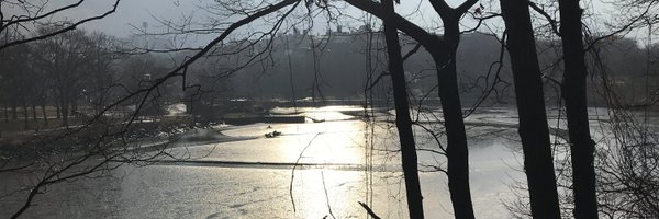 dbrown_11 Profile Banner