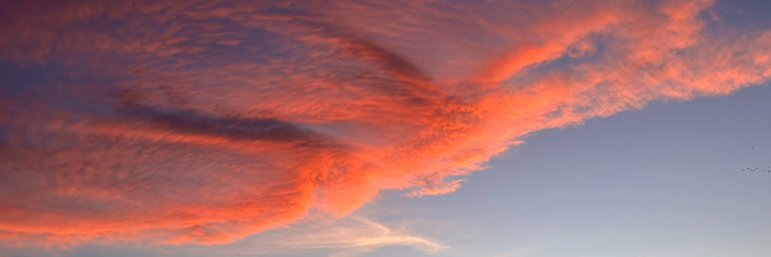_sputnikmiamor_'s profile banner image
