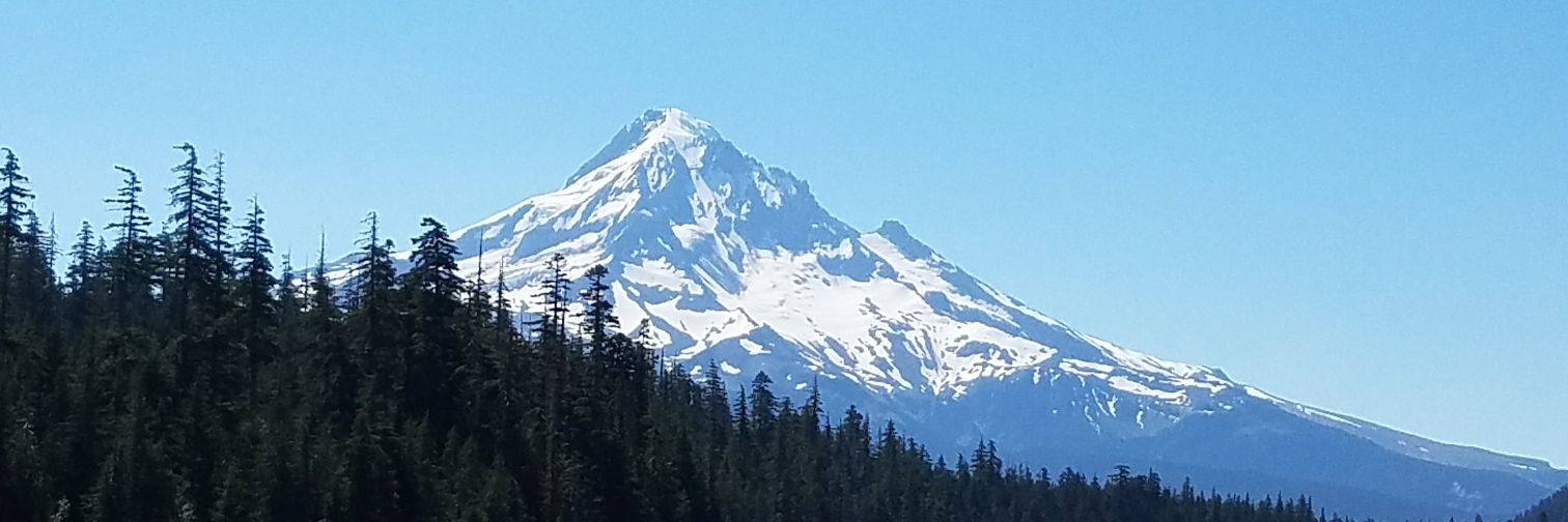 Chris in The Gorge banner