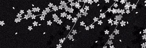 vtonyh's profile banner image