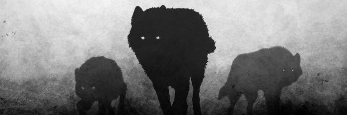 lukewolfe10's profile banner image