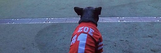 andy_watto's profile banner image