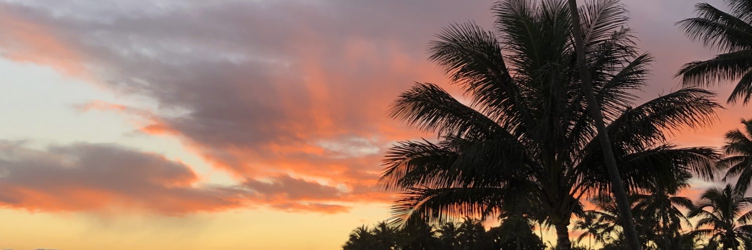AlyScubaak's profile banner image