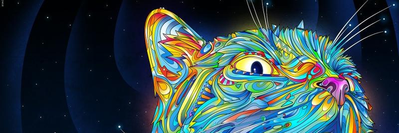 k_layman11's profile banner image