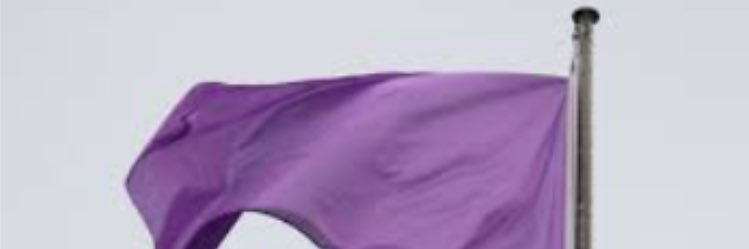 Regina Apis banner