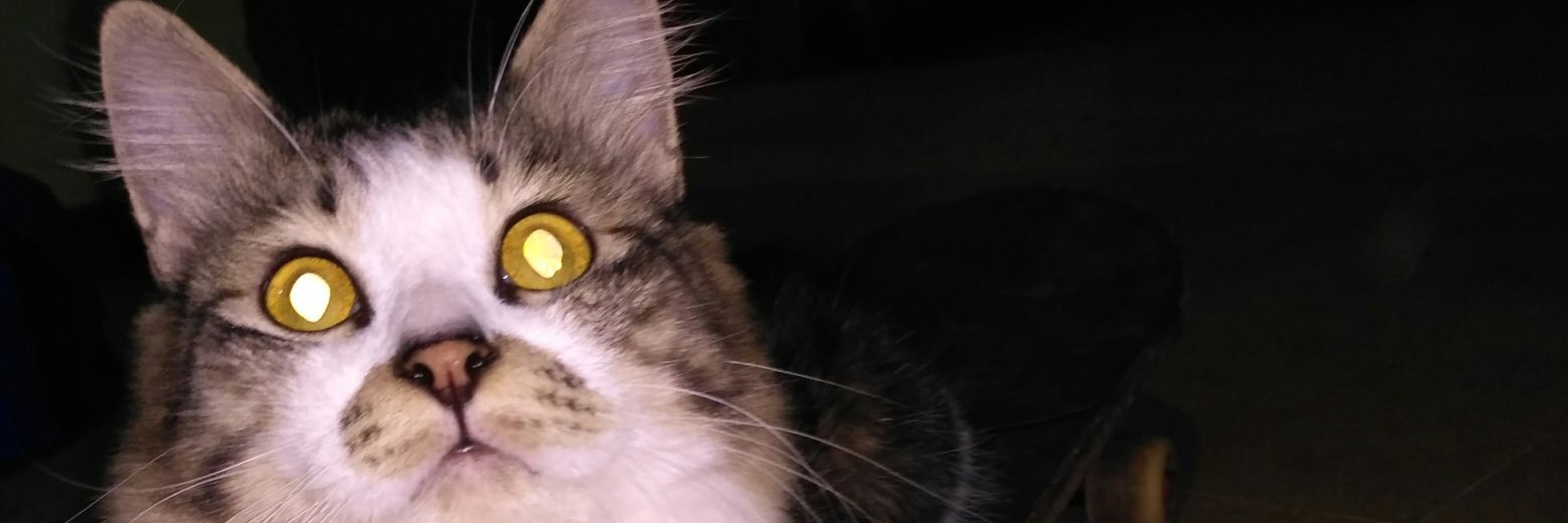 Muhammad Rizqi banner