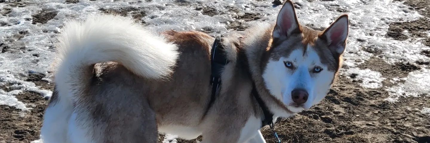 DannyGriz's profile banner image