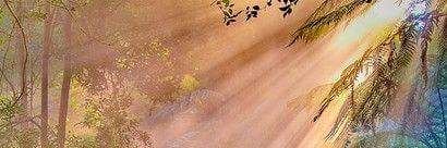 BecDub's profile banner image