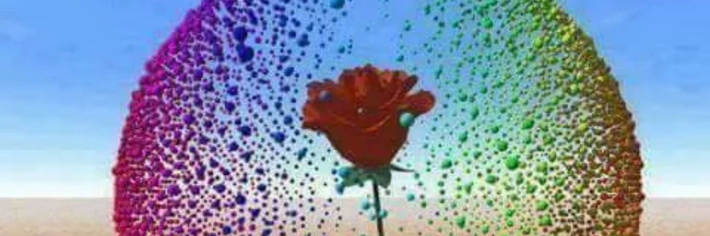 munal2002's profile banner image
