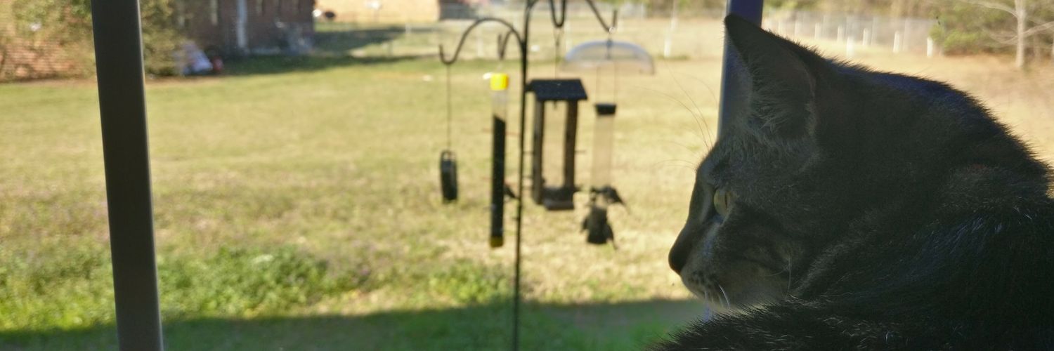 notmadeofbeef's profile banner image
