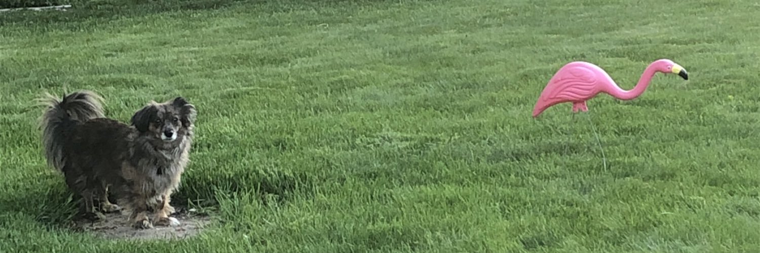 aaronSnoozle's profile banner image