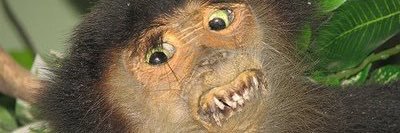 JediJeda69's profile banner image