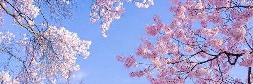 vycdaratc's profile banner image