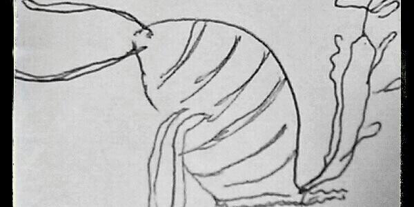 misufo33's profile banner image