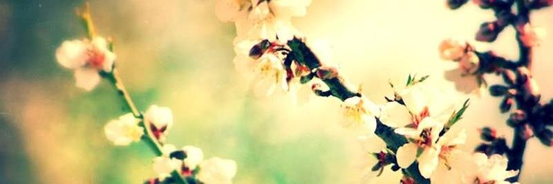 Thea_Clarissa's profile banner image