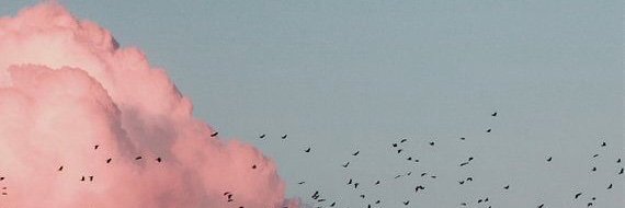 romasuliguin's profile banner image