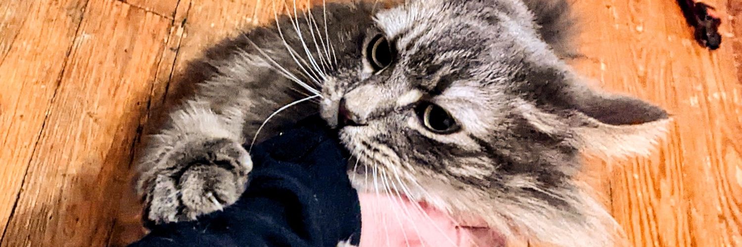 GhostyChokes's profile banner image